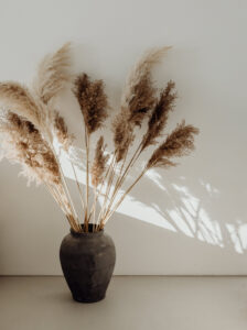 kaboompics_pampas-grass-in-a-vase-28762