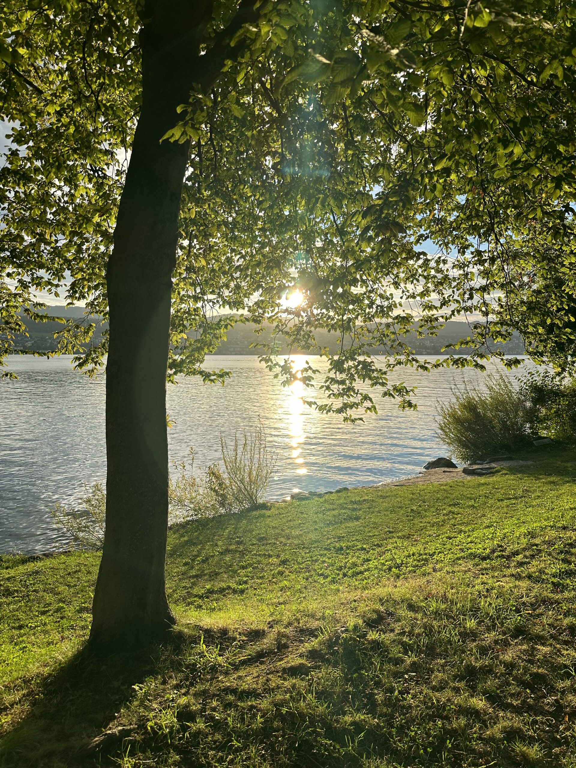 Morgenroutine - Garten bei Sonnenaufgang