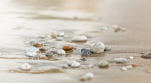 Neuro-Systemisches Coaching mit Craniosacraler Methode