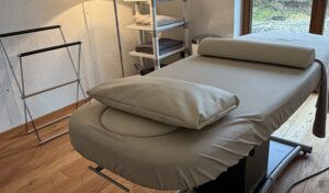 Körperorientierte Prozessbegleitung und Neuroregulation in der Praxis Dr. Petra Zahn.