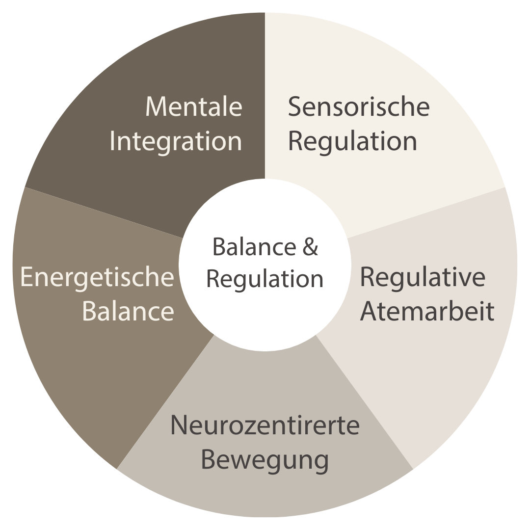 Das 5-Säulen-Modell für neurobiologische Regulation und systemisches Coaching – Dr. Petra Zahn