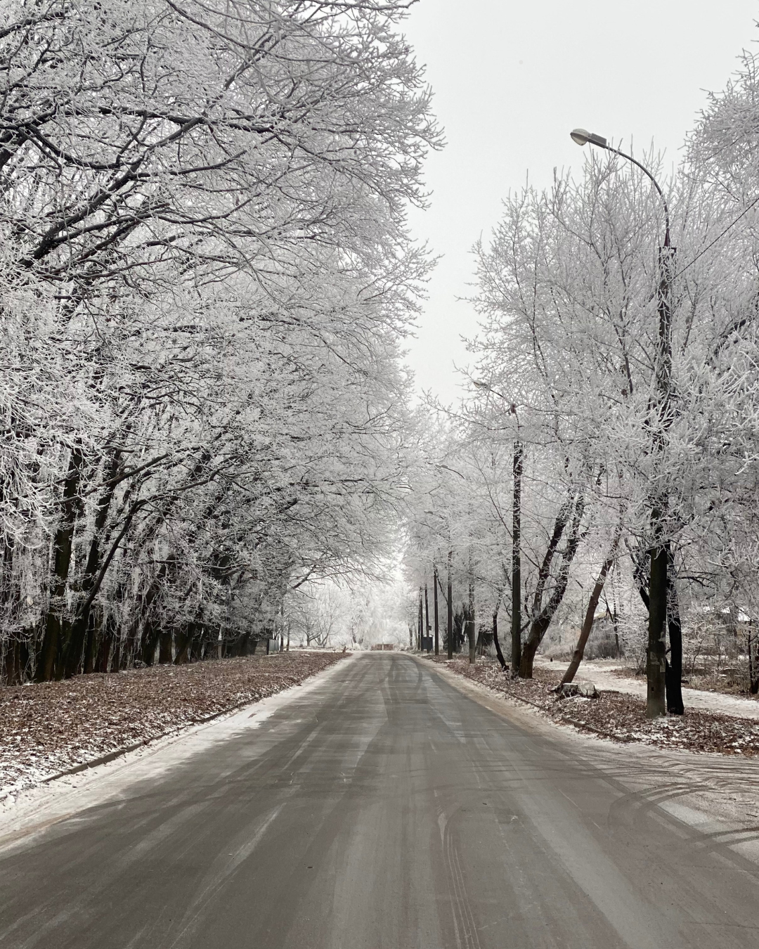 Neurozeptive Suche nach Sicherheit und neurobiologische Regulation im Alltag