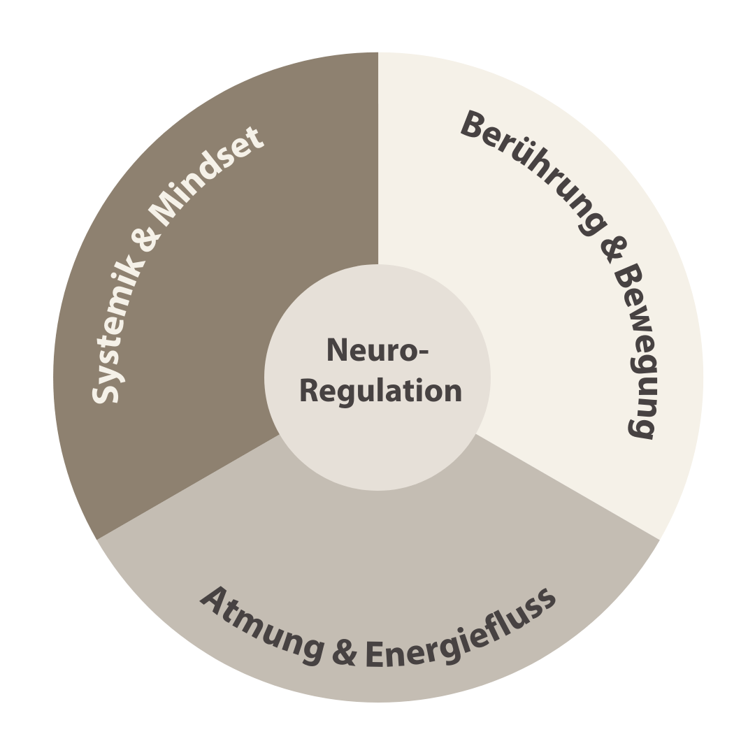Elemente des Neuro-Systemischen Coachings