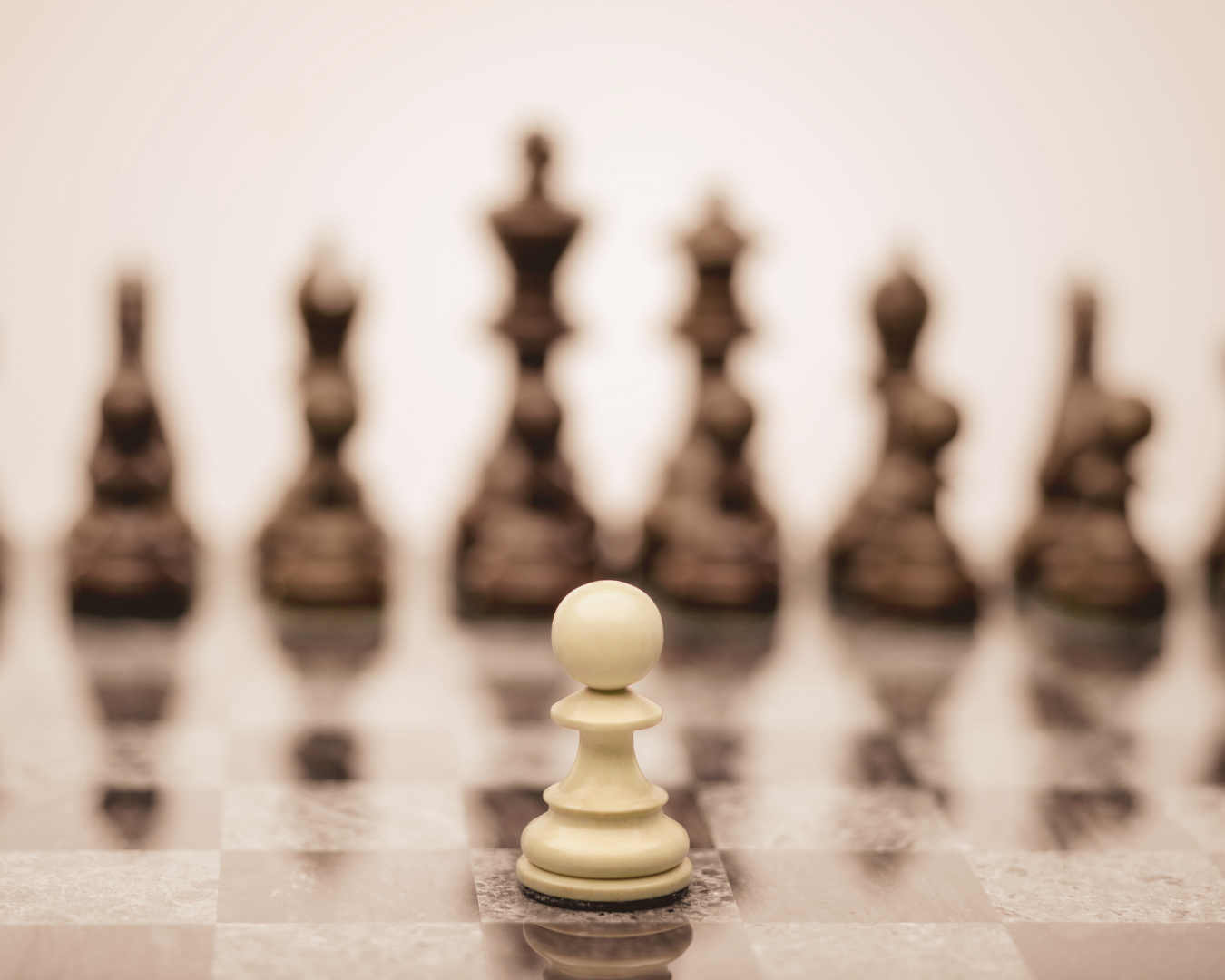 Neuro-Systemisches Coaching